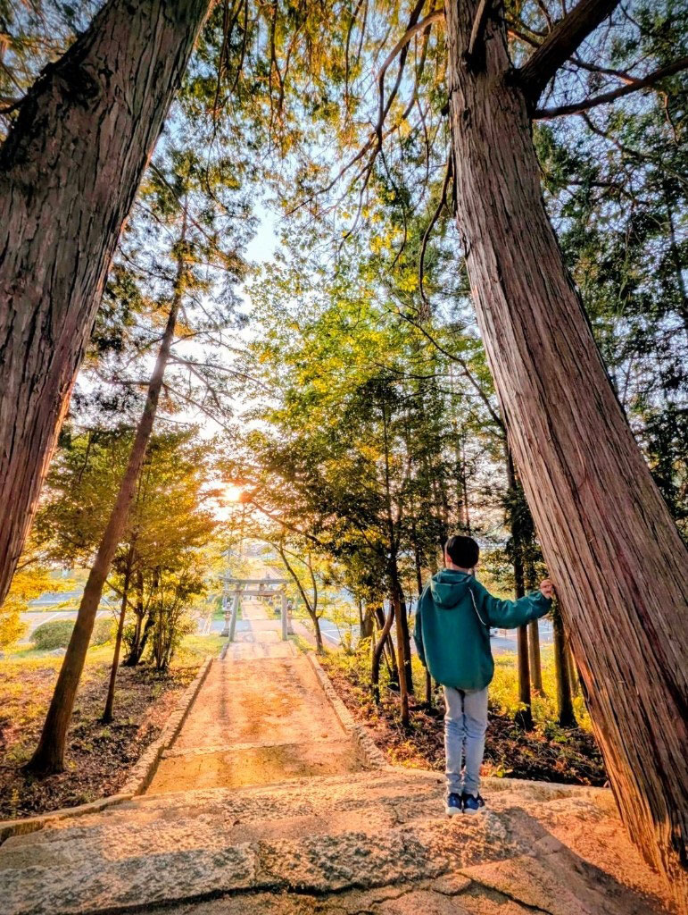 春、夕日のトンネル